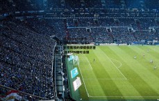 开云kaiyun体育-跟詹姆斯打起来A-史密斯我的保镖很厉害 且ESPN随时会保护我